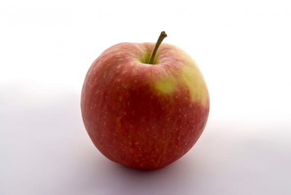 قیمت فروش سیب درختی درجه یک