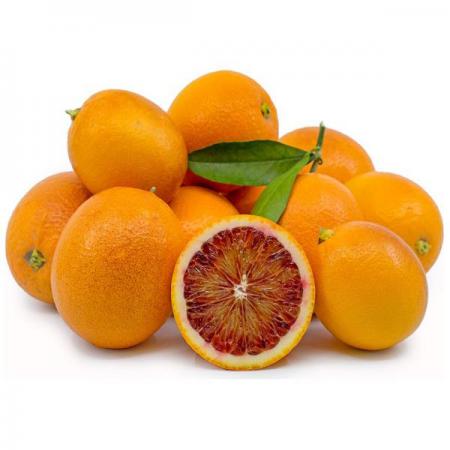 مراکز عرضه پرتقال محلی صادراتی