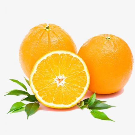 ویتامین های موجود در پرتقال
