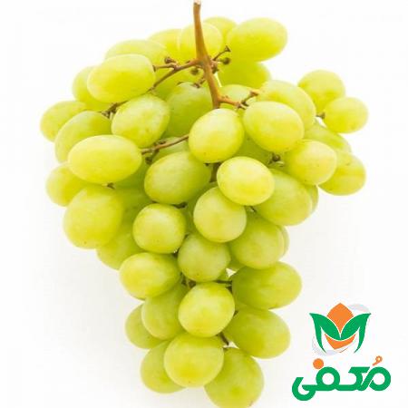 صادر کنندگان عمده  انگور بی دانه زرد