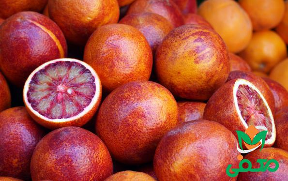 فروش کلی پرتقال خونی ایرانی