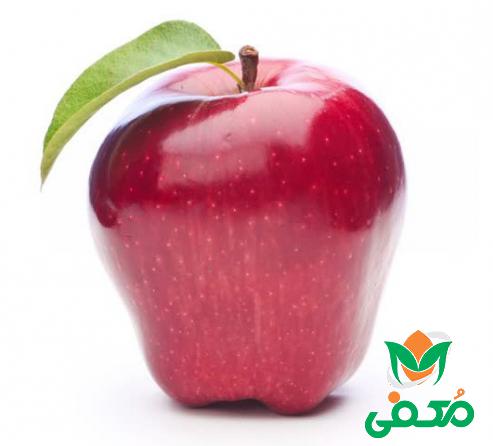 فروش انواع سیب قرمز صادراتی عمده
