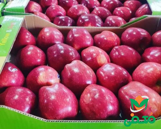 خصوصیات ظاهری سیب قرمز صادراتی چگونه است؟