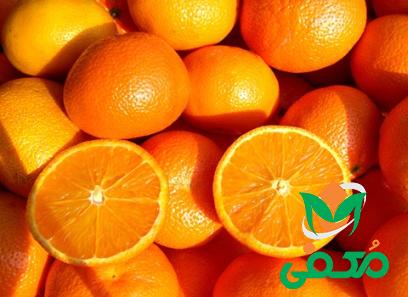 پرتقال شیرین | فروشندگان قیمت مناسب پرتقال شیرین